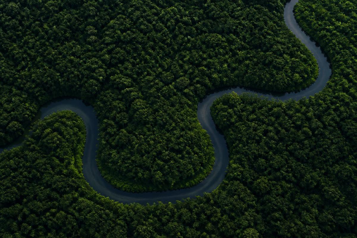 Rio serpenteando por floresta densa, projeto de carbono